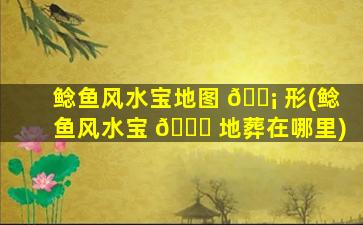 鲶鱼风水宝地图 🐡 形(鲶鱼风水宝 💐 地葬在哪里)
